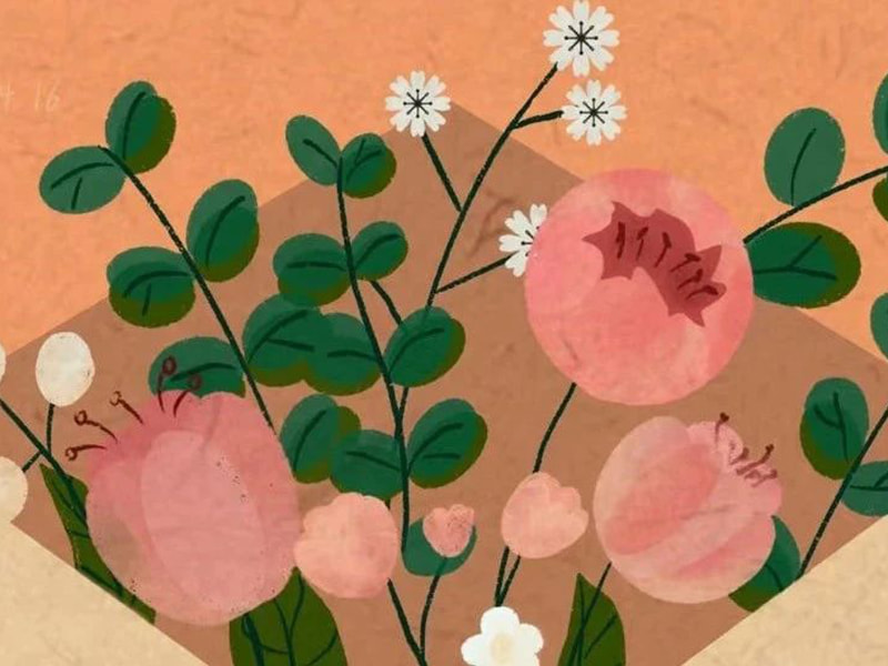 Jufeng'in ailesine bir mektup