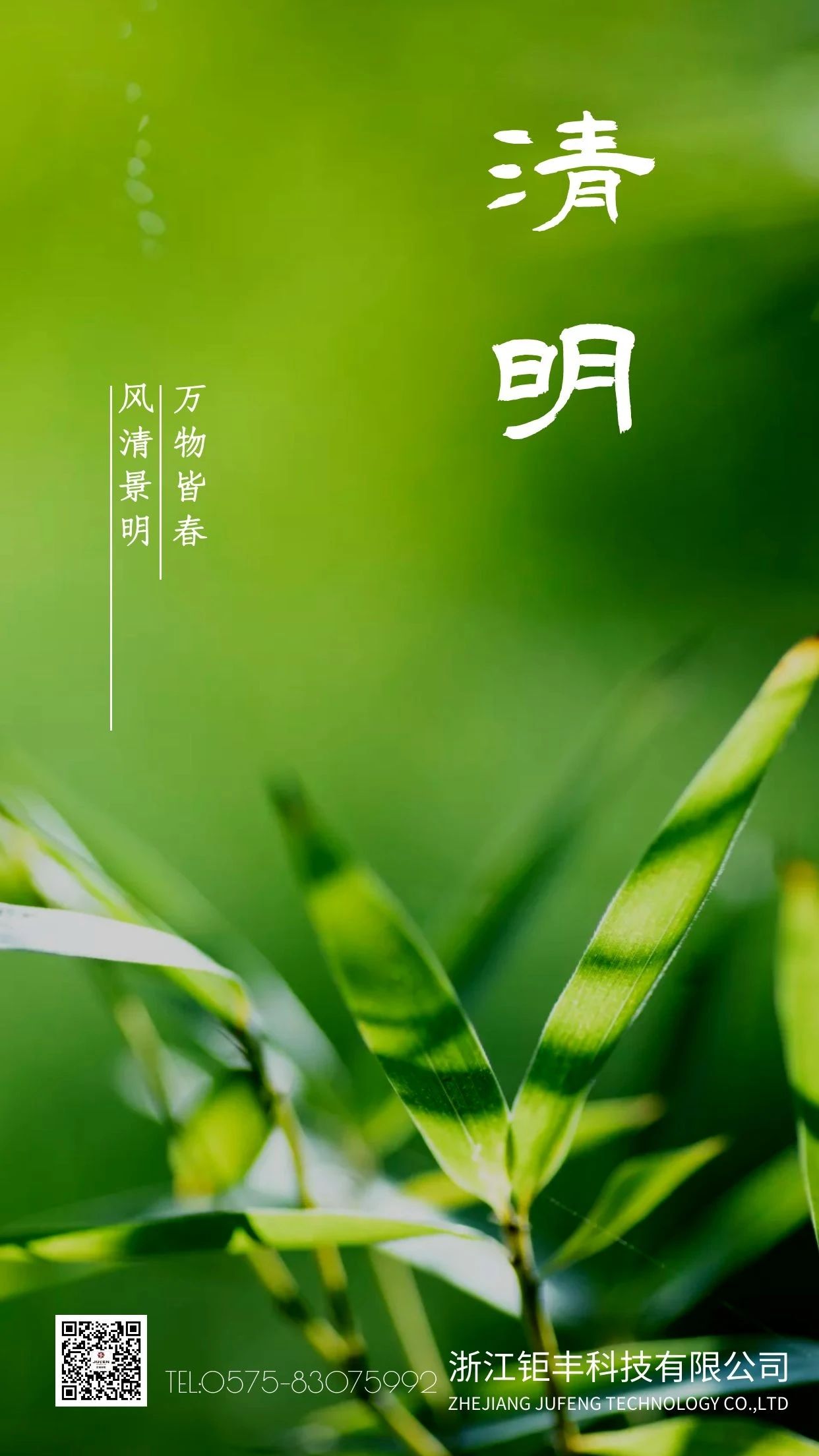 Qingming丨Rüzgar esiyor ve Qingming Festivali baharla dolu